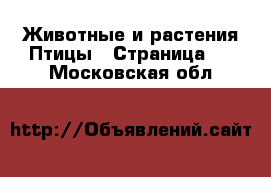 Животные и растения Птицы - Страница 2 . Московская обл.